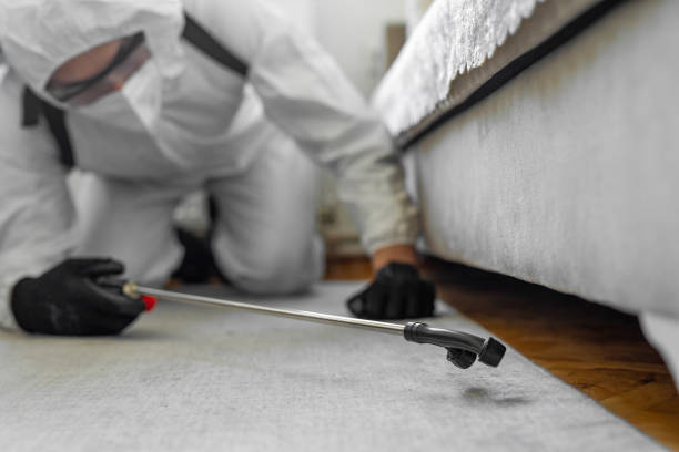Professional Cockroach Control technician working in North Windham, ME